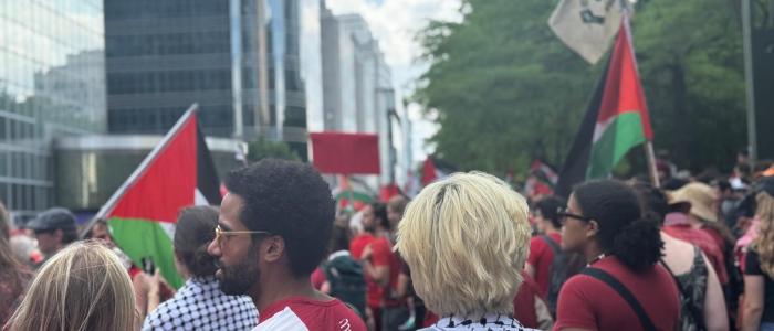 Mensen met Palestijnse Vlaggen op de Rode Lijn-Betoging