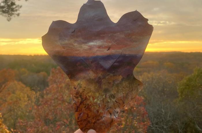 Op een eikenblad schilderde Natalie Rotramel het panorama dat ze voor zich zag van een uitgestrekt nationaal park bij zonsopgang.