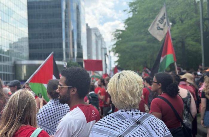 Mensen met Palestijnse Vlaggen op de Rode Lijn-Betoging
