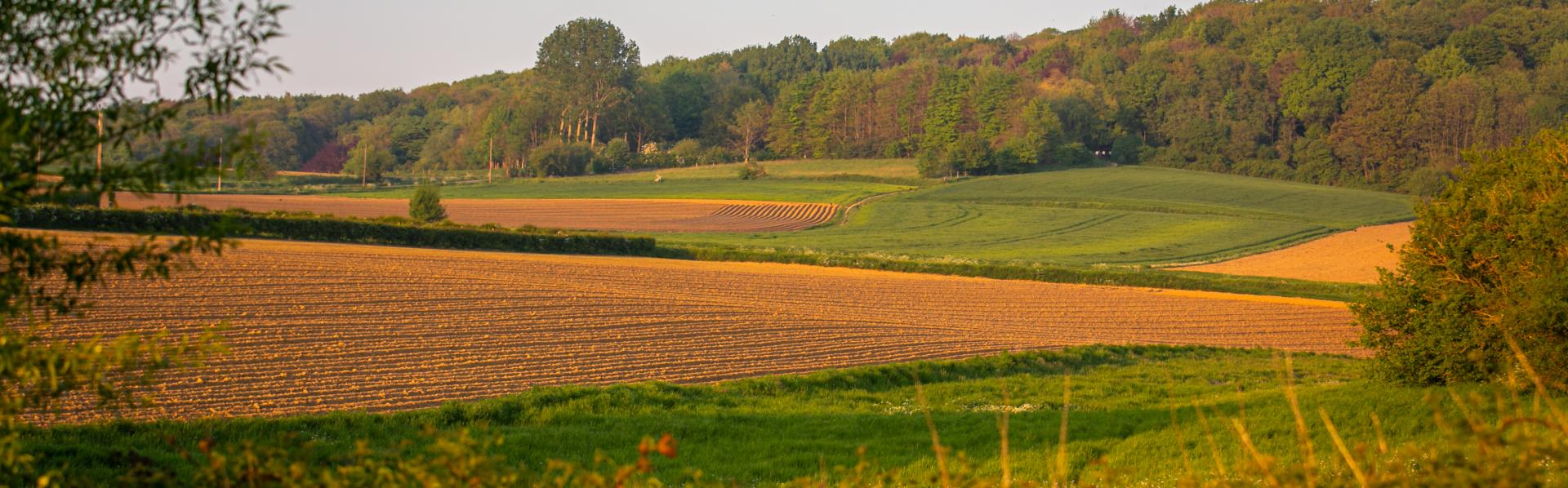 landschapszicht Heuvelland