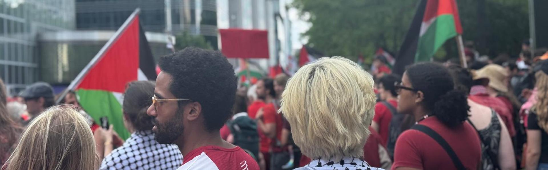 Mensen met Palestijnse Vlaggen op de Rode Lijn-Betoging