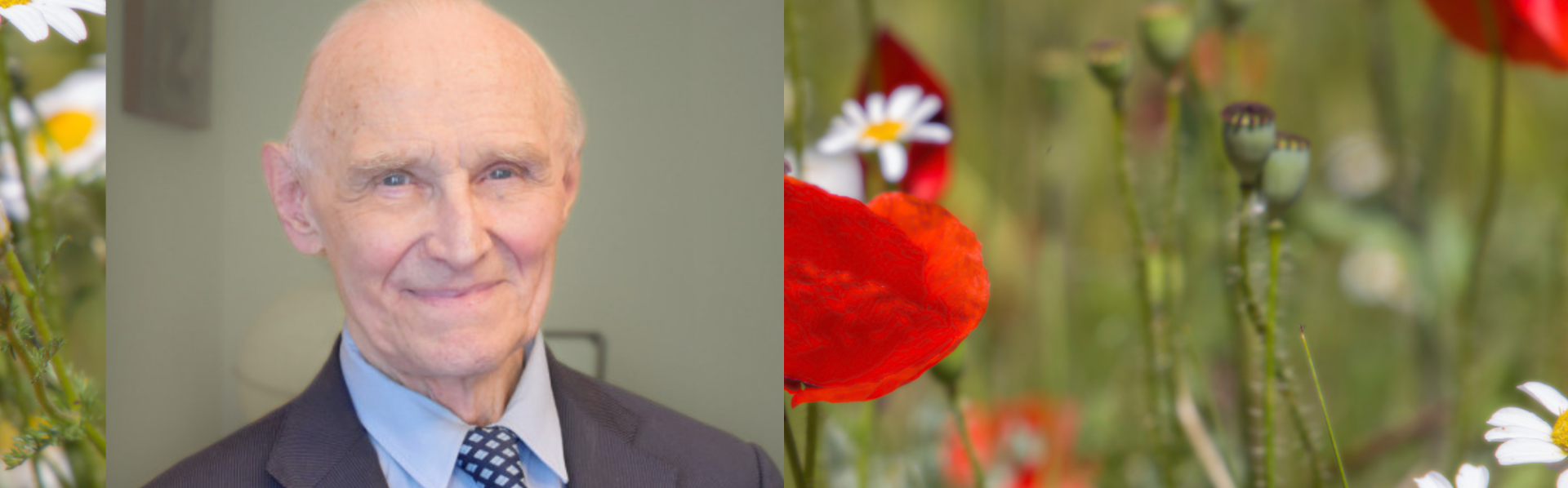 In Memoriam Marc Cornelis