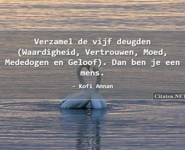 Tegelspreuk: twee verliefde zwanen op het water vormen de achtergrond. Daarboven de tekst: Verzamel de vijf deugden (Waardigheid, vertrouwen, Moed, Mededogen en Geloof). Dan ben je een mens. - Kofi Annan