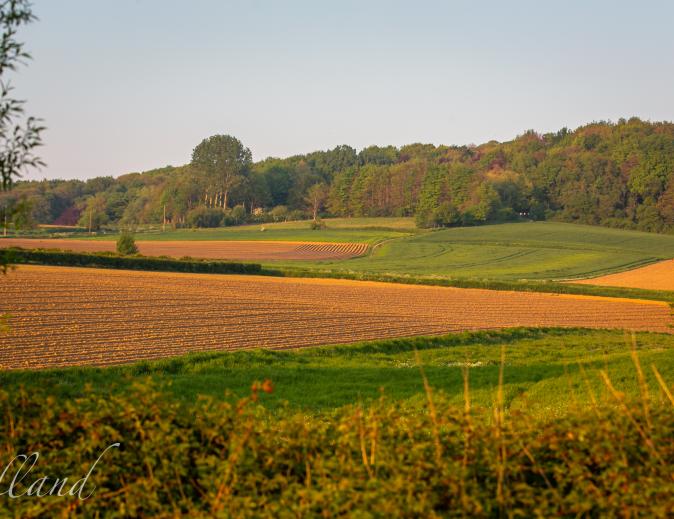 landschapszicht Heuvelland