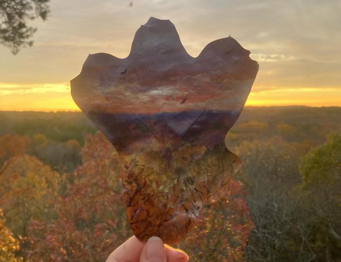 Op een eikenblad schilderde Natalie Rotramel het panorama dat ze voor zich zag van een uitgestrekt nationaal park bij zonsopgang.